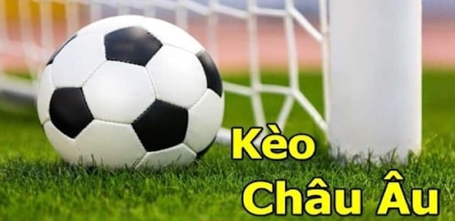 Anh em hãy phân tích, tìm hiểu thông tin kỹ càng trước khi đặt cược